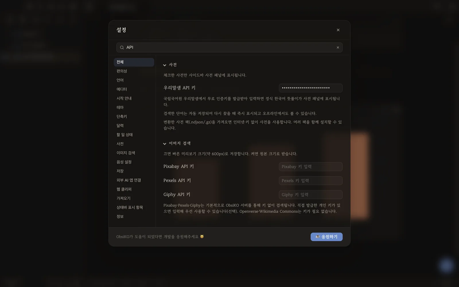 설정 검색창에 API를 친 화면