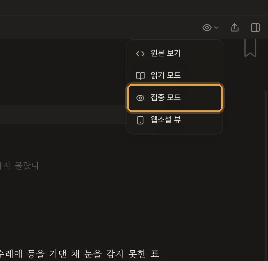 눈 모양 보기 메뉴의 집중 모드